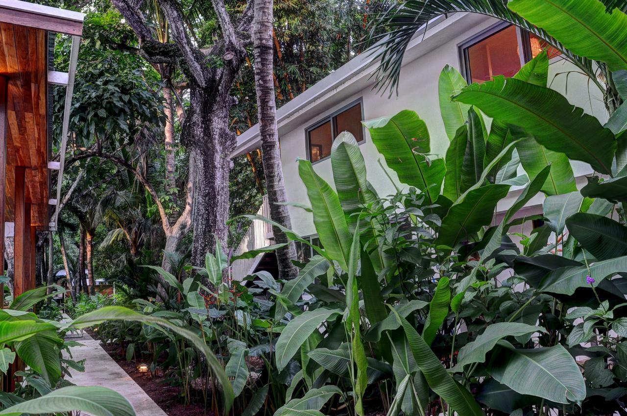 Moana Surf Resort Nosara Exterior foto